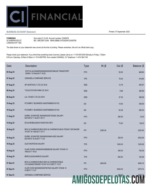 Em branco CI Financial Bank Organization modelo de extrato de conta Word e PDF